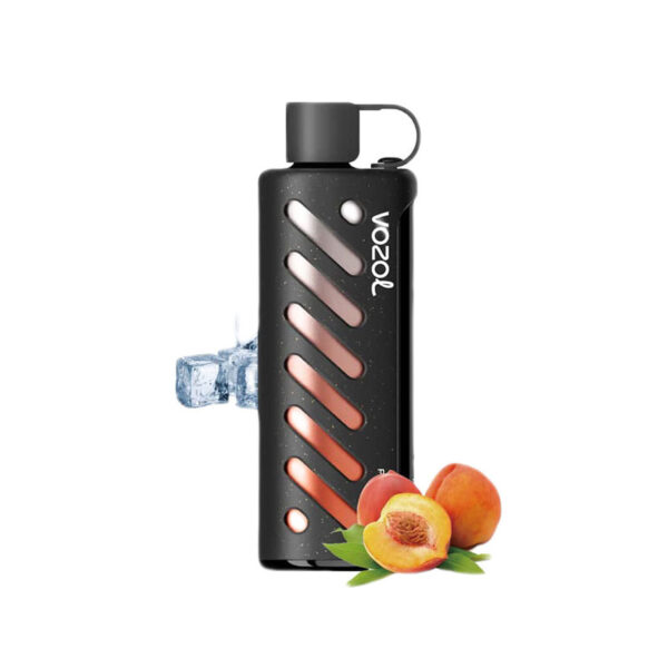 VOZOL Gear Shisha 25000 Puffs e-Cigs Supplier - Image 2