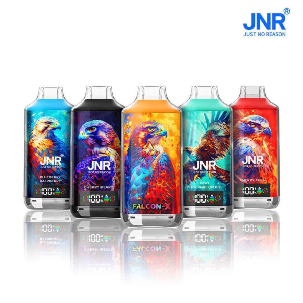 JNR FALCON X 18000 Puffs Disposable Pod Device Wholesale