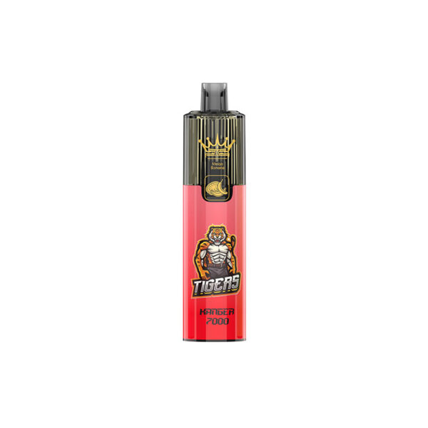 Kanger 7000 Puffs Disposable Vape Pod Replaceable - Image 4