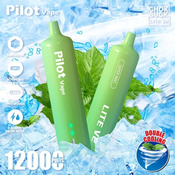 PILOT VAPE Lite V2 12000 Puffs Disposable Pod Device - Image 6