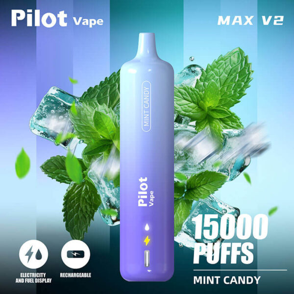 PILOT VAPE Max V2 16000 Puffs Disposable Vape Pen - Image 9