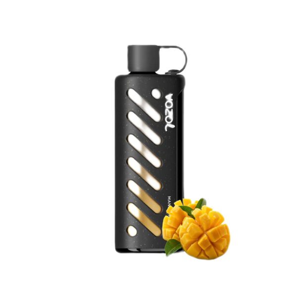 VOZOL Gear Shisha 25000 Puffs e-Cigs Supplier - Image 8