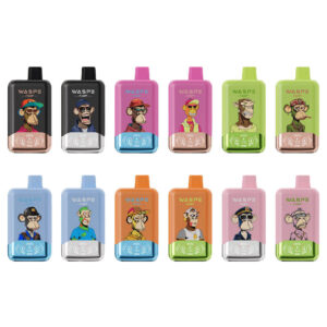 WASPE 40000 Puffs Disposable Vape China 2 Flavors in 1