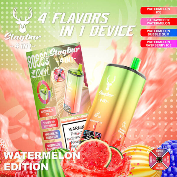 STAGBAR 4 in 1 Disposable Vape 80K Puffs - Image 6