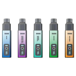 2+10ml Disposable Vape Pen 10K Puffs OEM Only