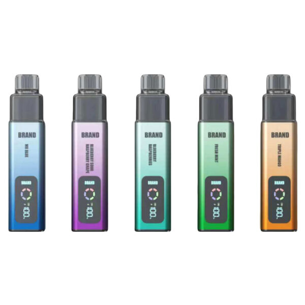 2+10ml Disposable Vape Pen 10K Puffs OEM Only