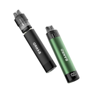 OEM / ODM Refillable Vape Pod System with Display