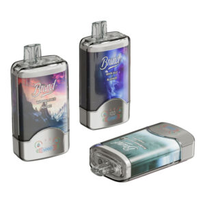 60K Puffs Dual Flavors Disposable e-Cig for OEM