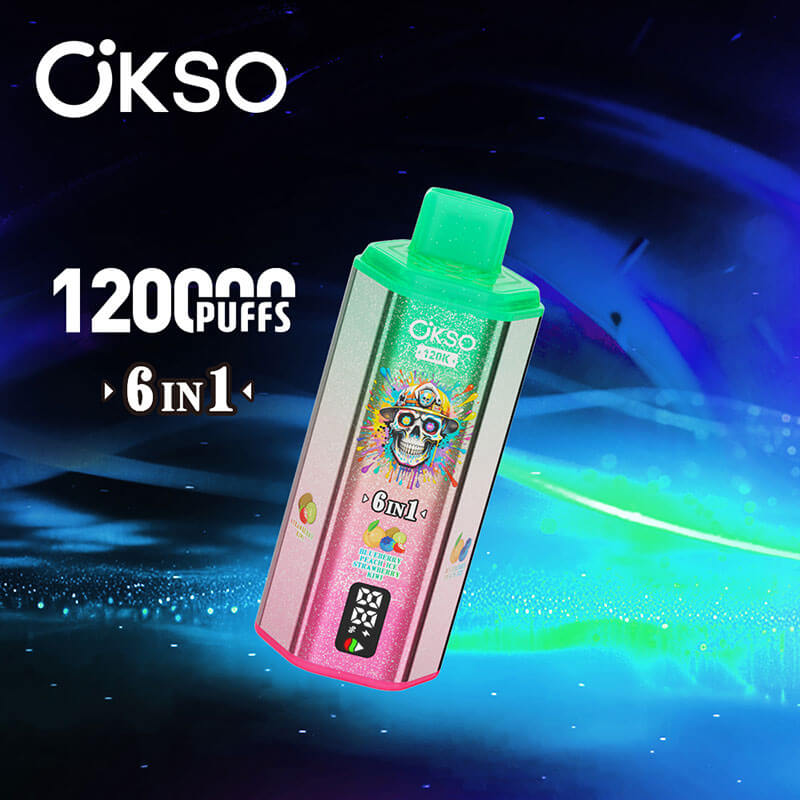 OKSO 6 in 1 Disposable Vape 120K Puffs - Image 5
