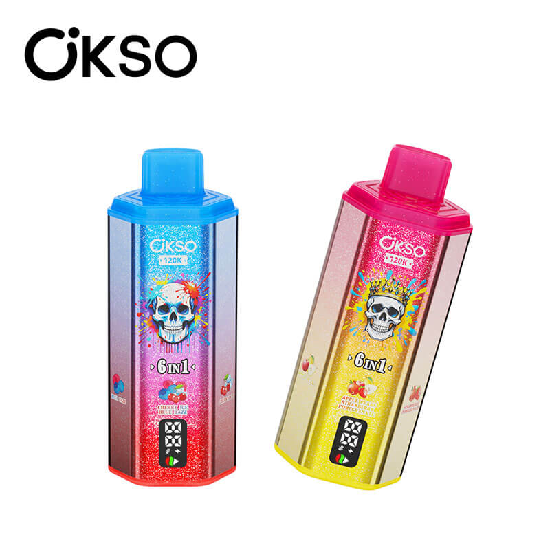 OKSO 6 in 1 Disposable Vape 120K Puffs - Image 3
