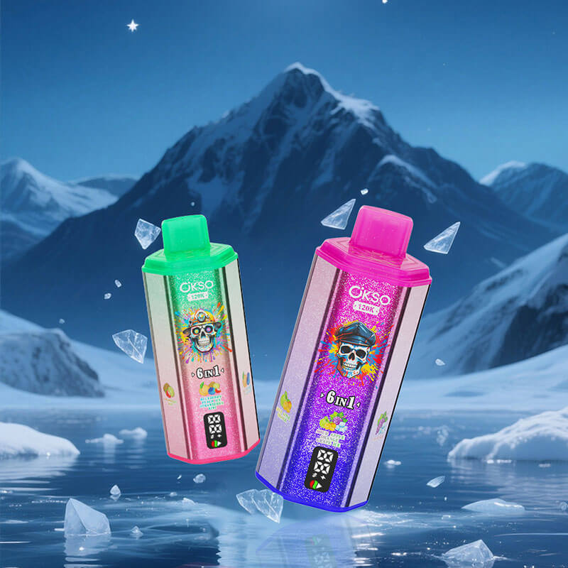 OKSO 6 in 1 Disposable Vape 120K Puffs - Image 4